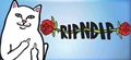 リップンディップ Ripndip